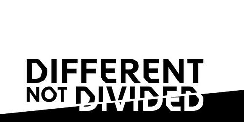 Screenshot of Different Not Divided website